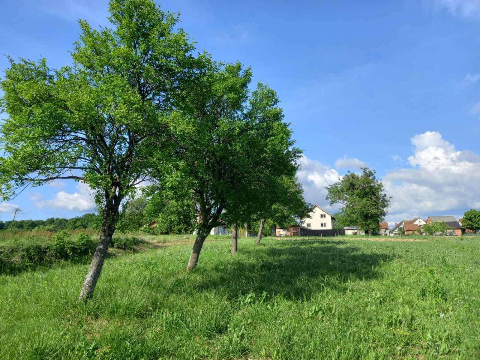 Kuca Za Odmor Holiday House Akord, Marindvor Pozega Buitenkant foto